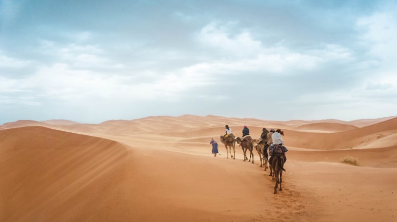 People riding camels in the Sahara Desert